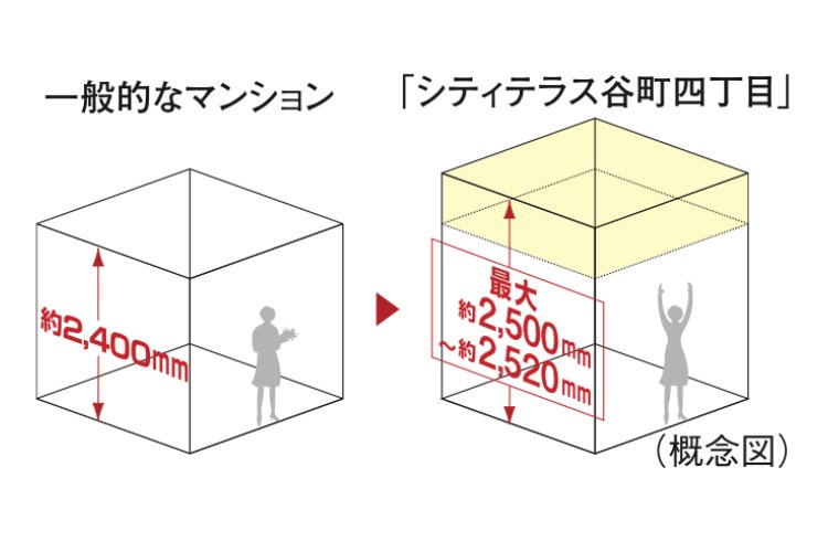 天井高の概念図